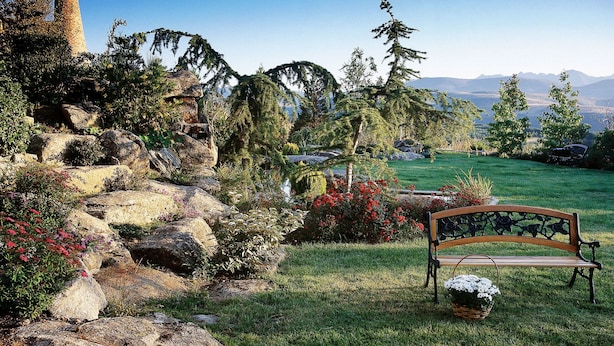 A garden with a bench, rocks, and a variety of plants. - El Milano Real (Hoyos del Espino)