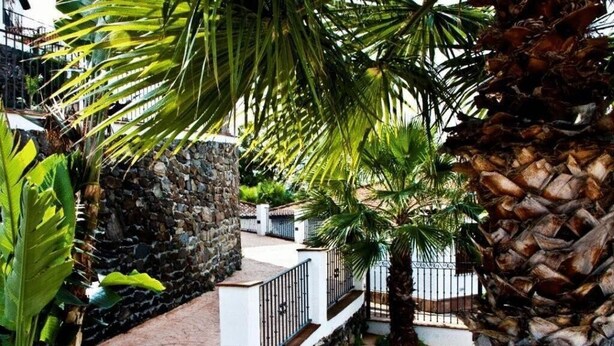A courtyard with a stone wall, palm trees, and a white fence. - Apartamentos Bahía Santa Cruz (Almunecar)