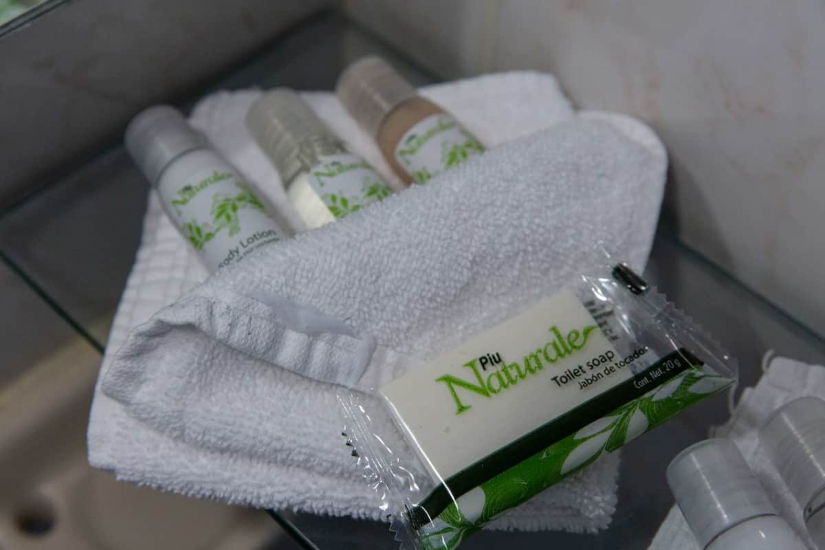 Shower, rainfall showerhead, free toiletries, hair dryer