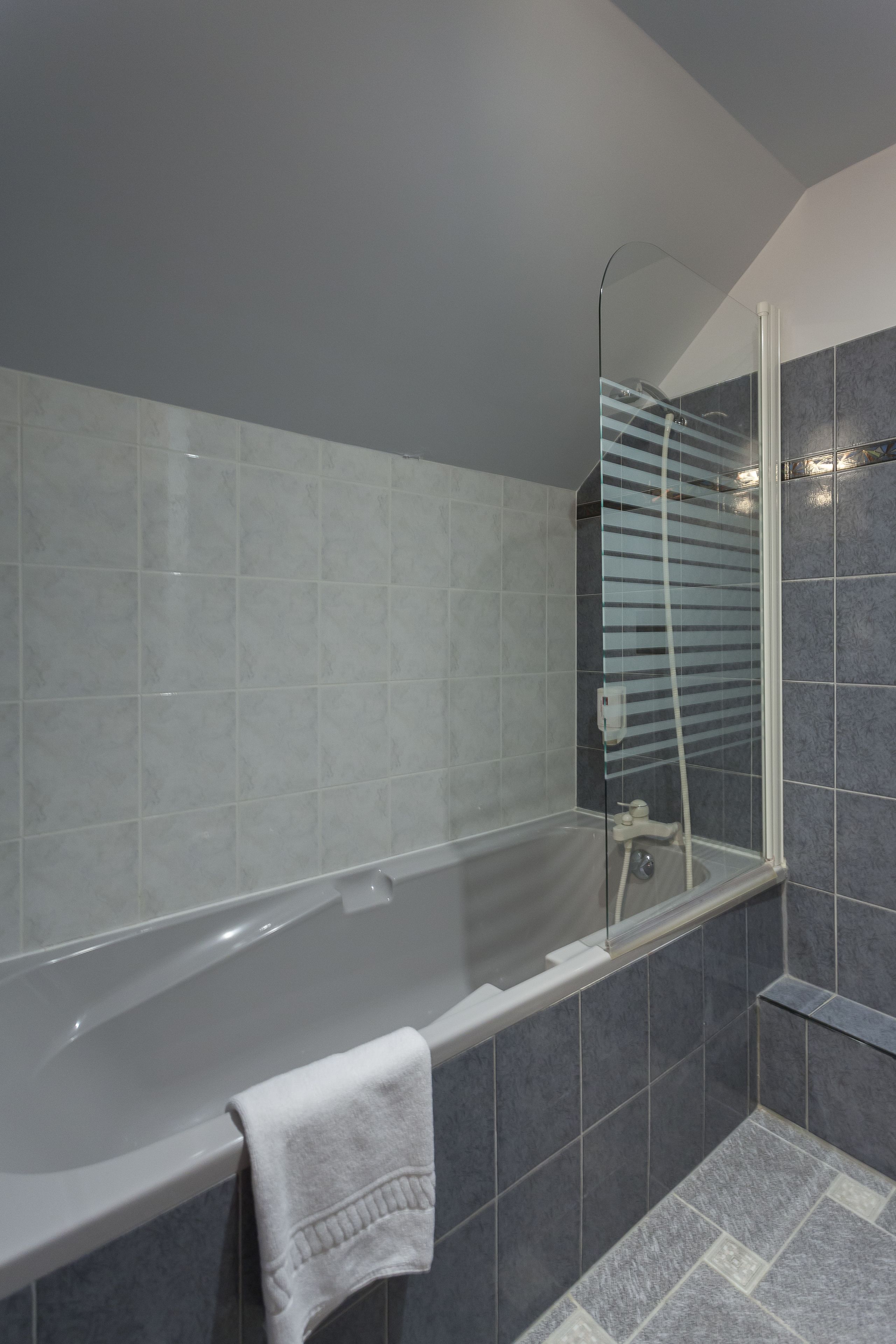 Une salle de bain moderne avec une baignoire sur pieds, une douche à parois de verre et des murs recouverts de carreaux gris.