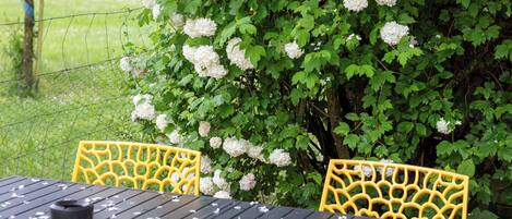 Una mesa con sillas, un seto de flores blancas y una valla metálica al fondo.