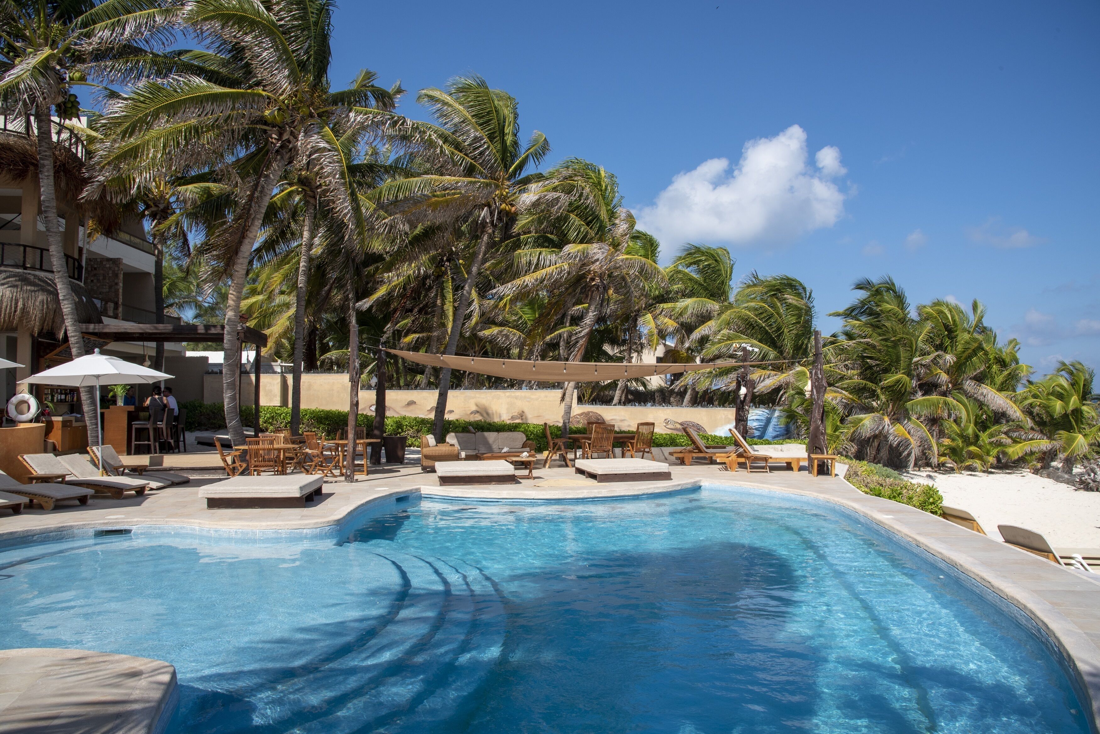 Una piscina con sillones de descanso y palmeras.