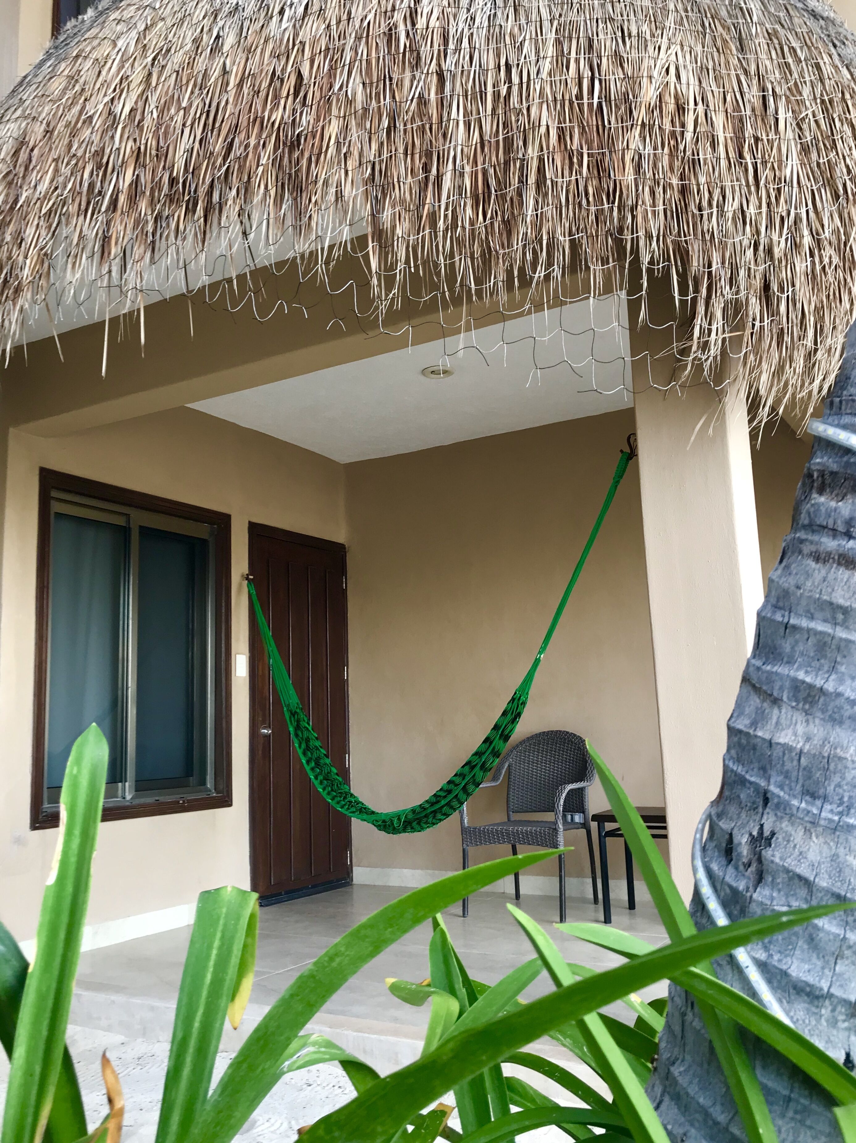 Una habitación con techo de paja, una hamaca, una silla y una planta grande.