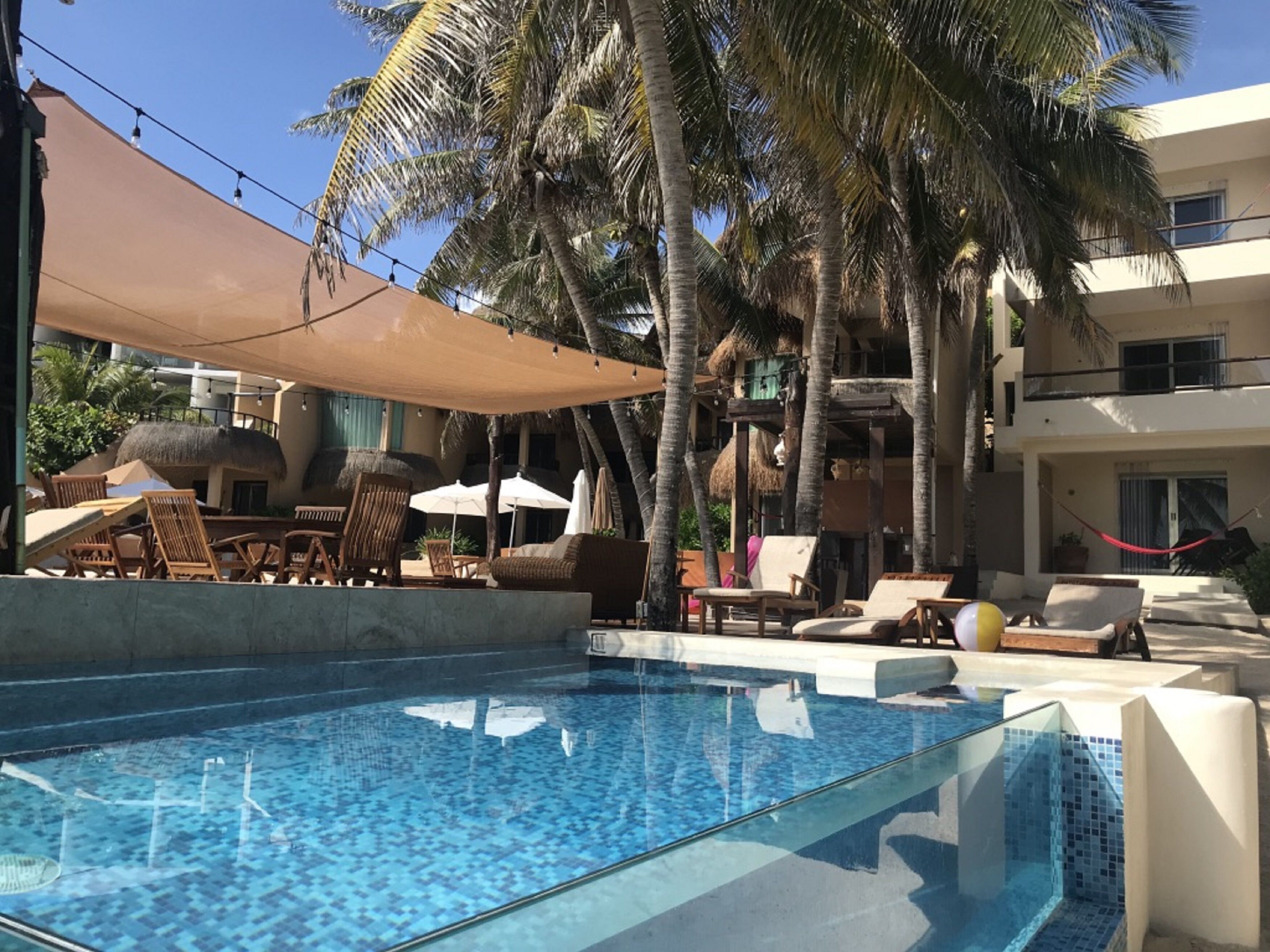 A pool area with lounge chairs, umbrellas, and palm trees.