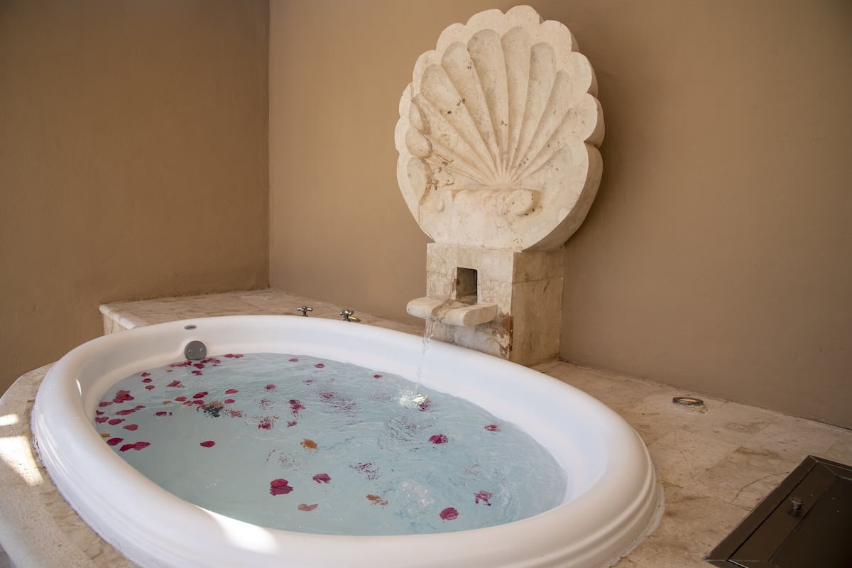 A bathtub with water and rose petals, a stone wall, and a small stone structure.