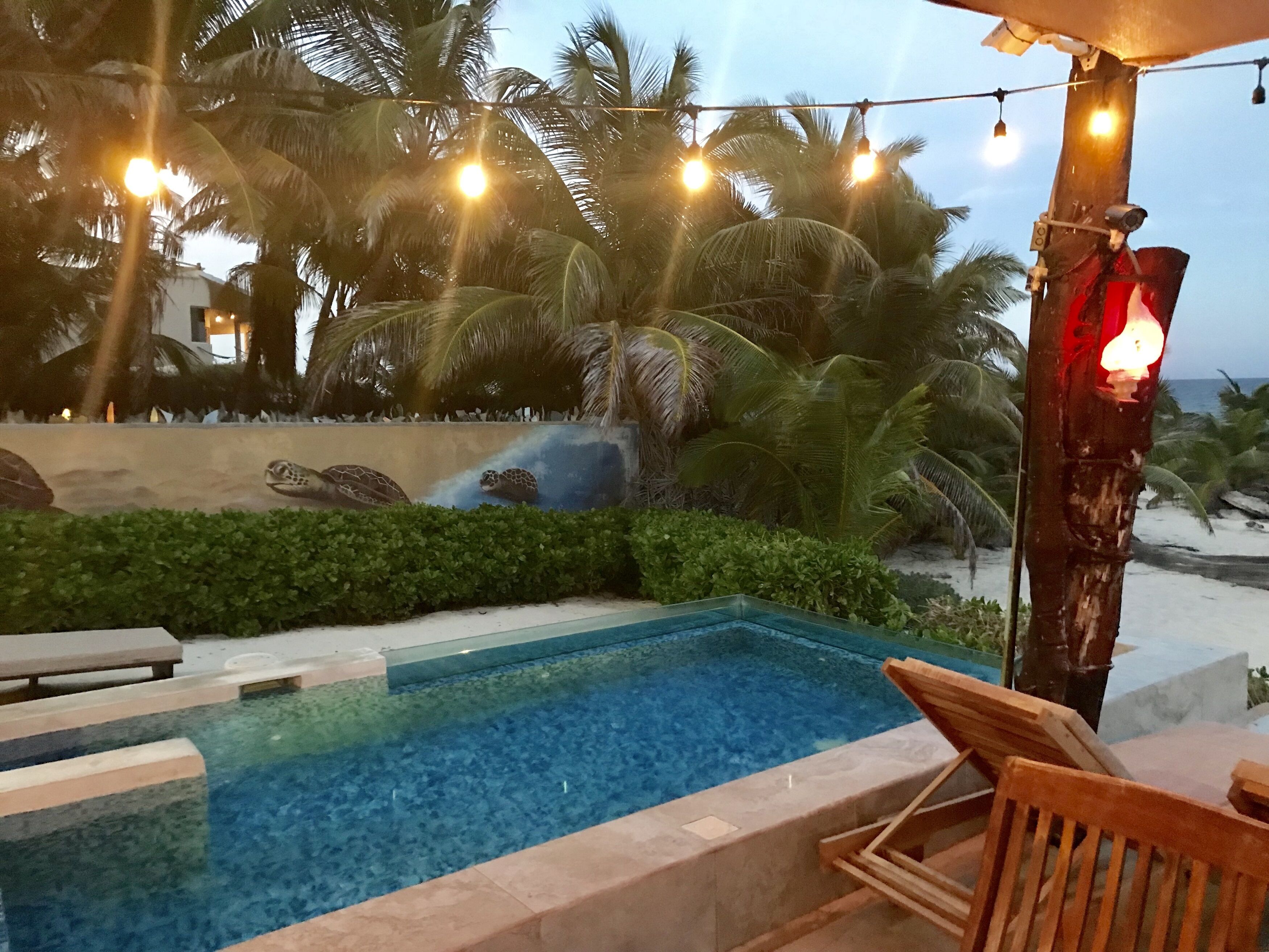 A pool area with a clear blue pool, surrounded by palm trees and a sandy beach. There are lounge chairs and a small waterfall feature.
