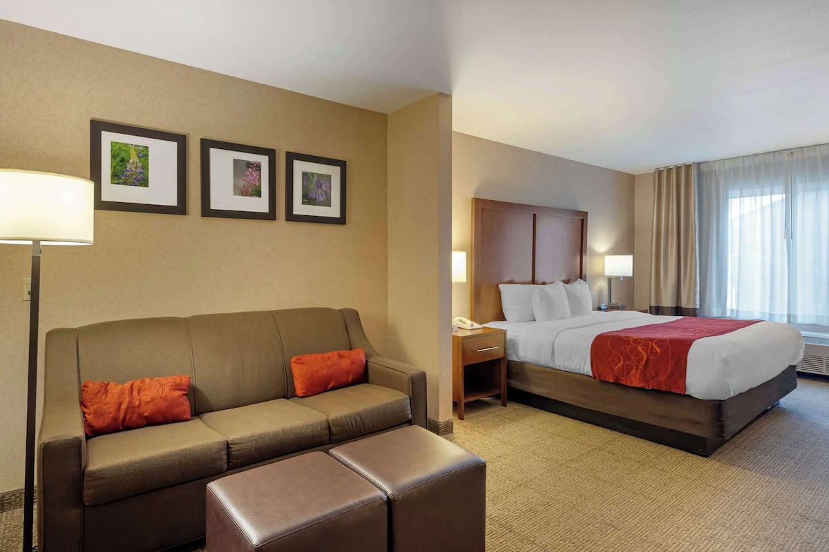Suite, 1 King Bed with Sofa bed, Accessible, Non Smoking