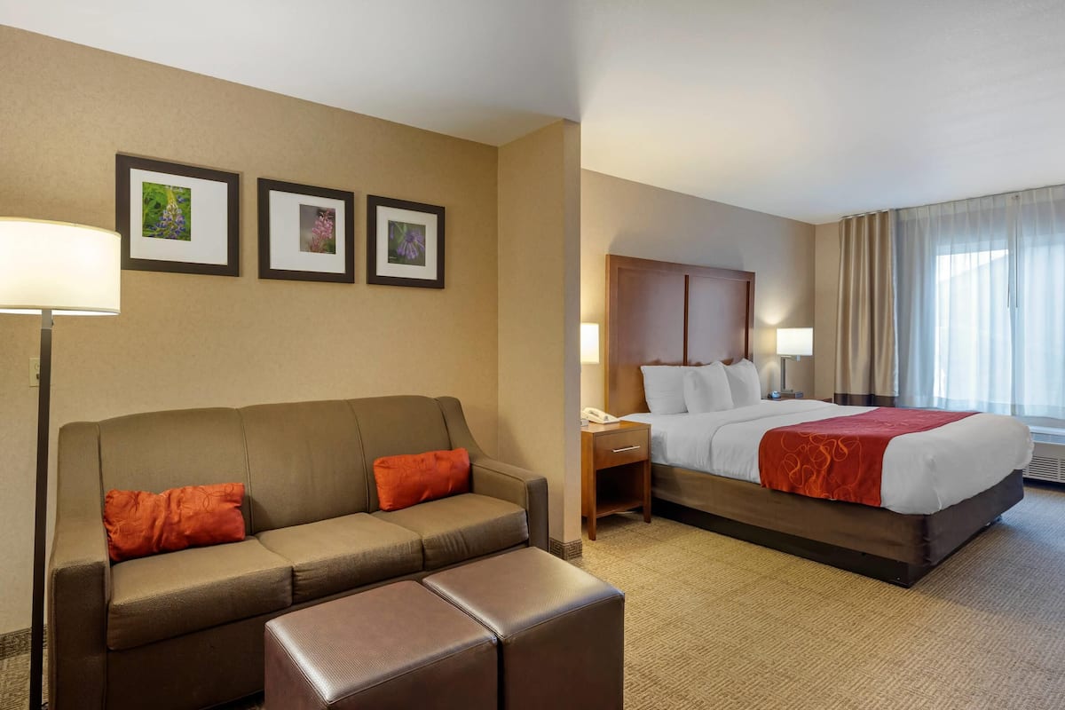 A hotel room with a bed, a sofa, a nightstand, and a lamp.
