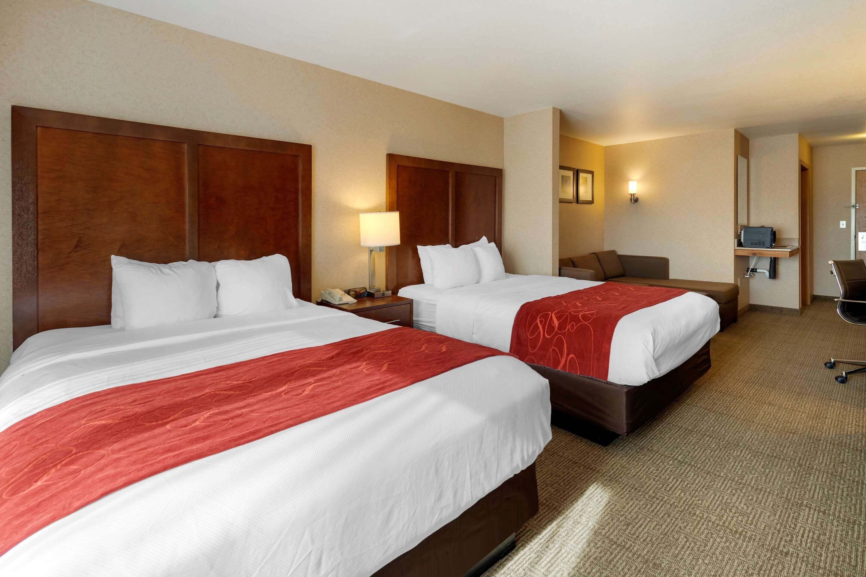 suite, 2 queen bed with sofabed | premium bedding, desk, iron/ironing board, free wifi