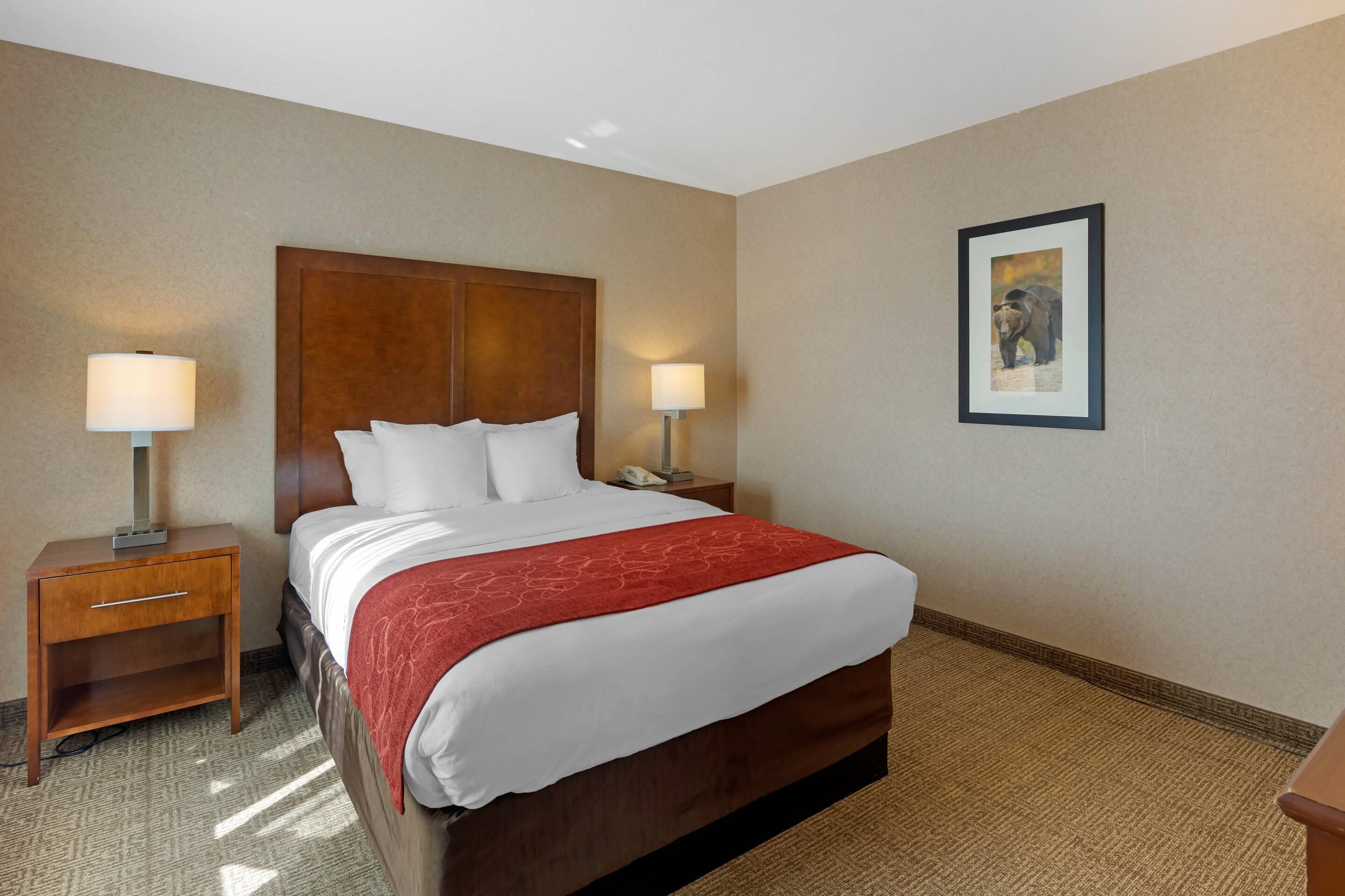 A hotel room with a large bed, two bedside tables, and a framed picture on the wall.