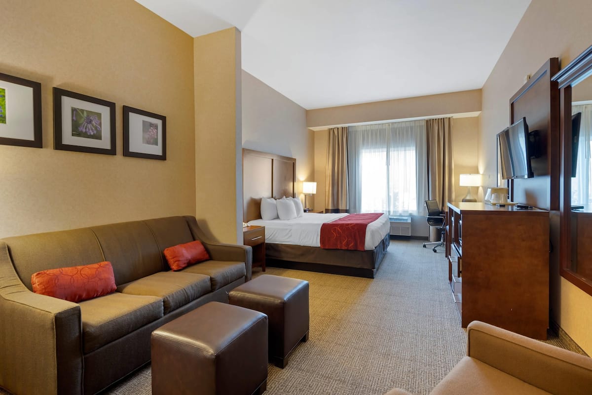 A hotel room with a bed, a sofa, a desk, and a TV.