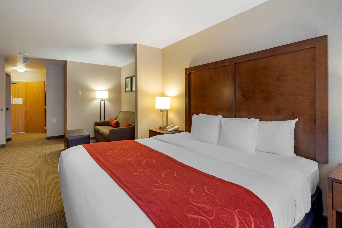 suite, 1 king bed with sofa bed, accessible, non smoking | premium bedding, desk, iron/ironing board, free wifi