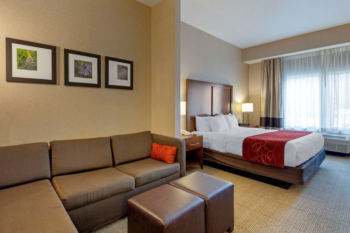Suite, 1 King Bed with Sofa bed