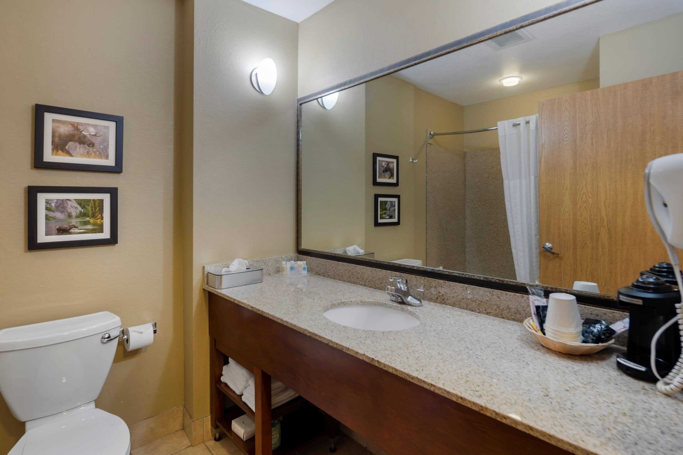 A bathroom with a toilet, sink, and mirror. There are framed pictures on the wall, a towel rack, and a shower curtain.