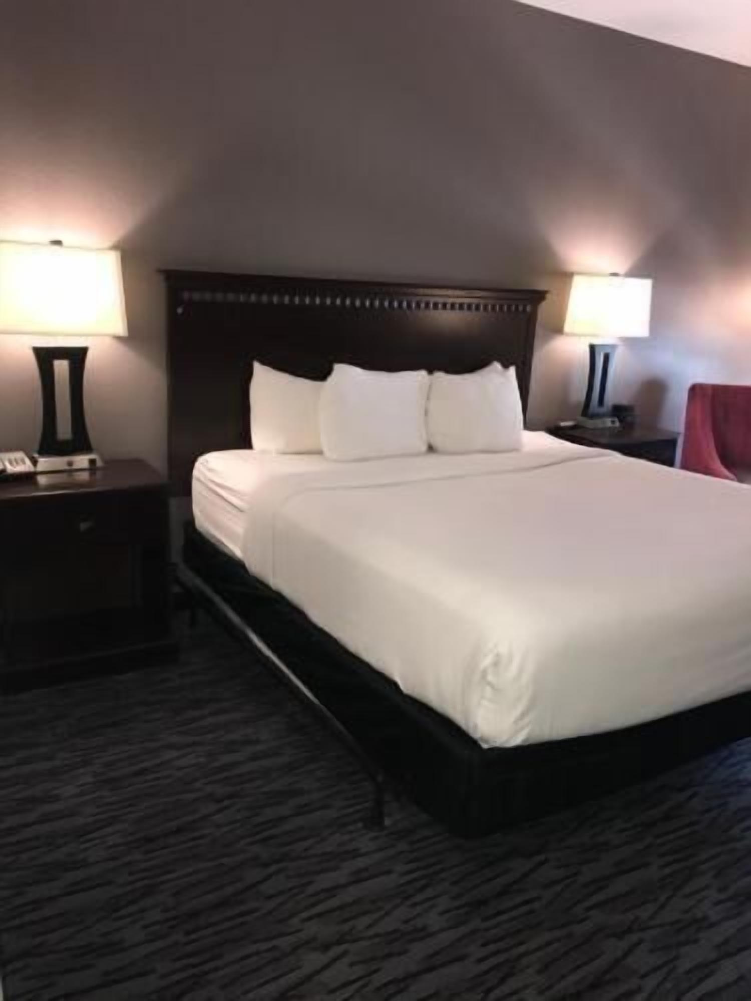 Premium bedding, desk, iron/ironing board, free WiFi