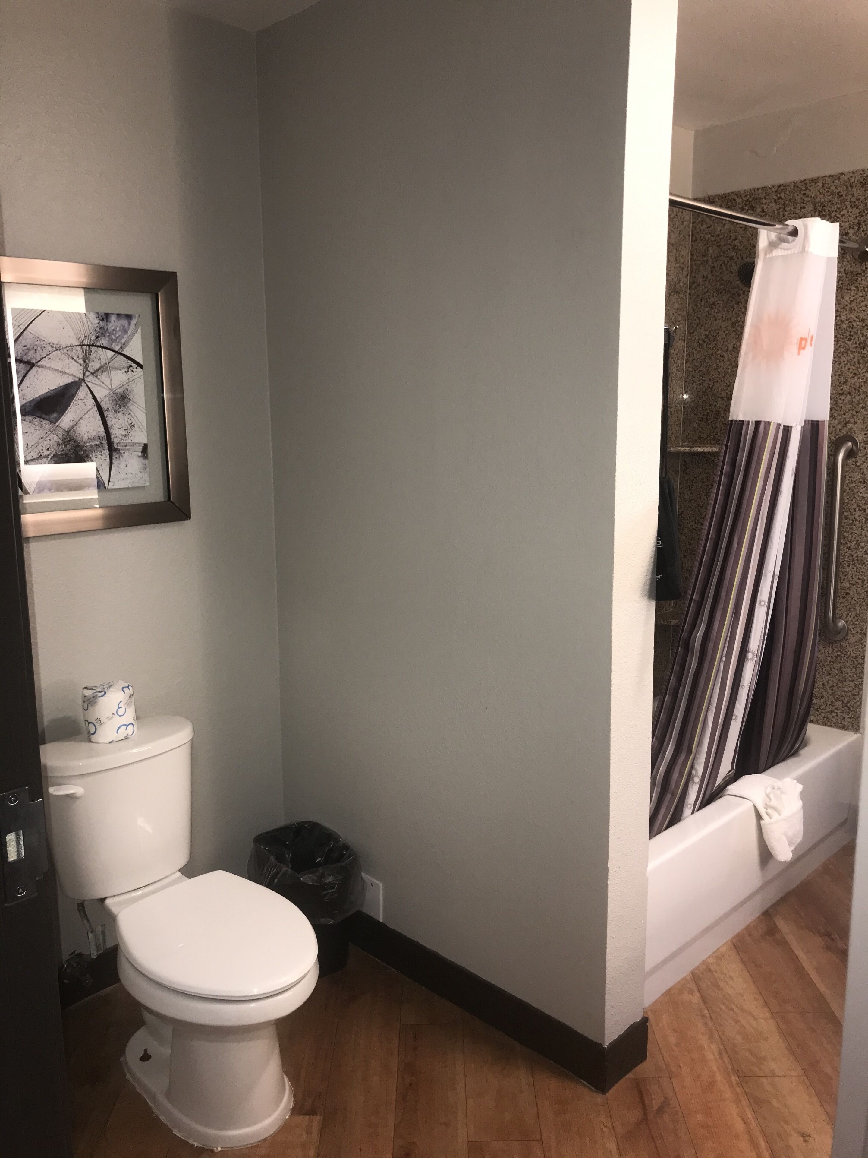 A bathroom with a toilet, a framed picture on the wall, a shower curtain, and a bathtub.