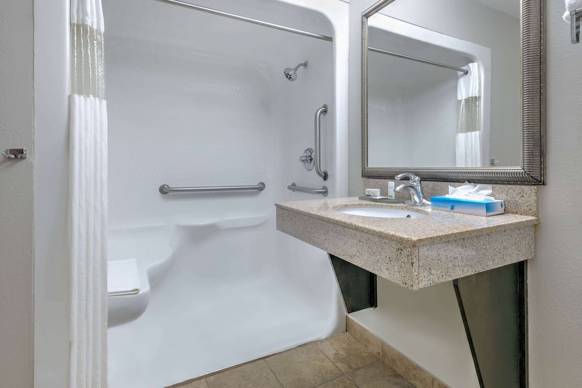 combined shower/bathtub, free toiletries, hair dryer, towels