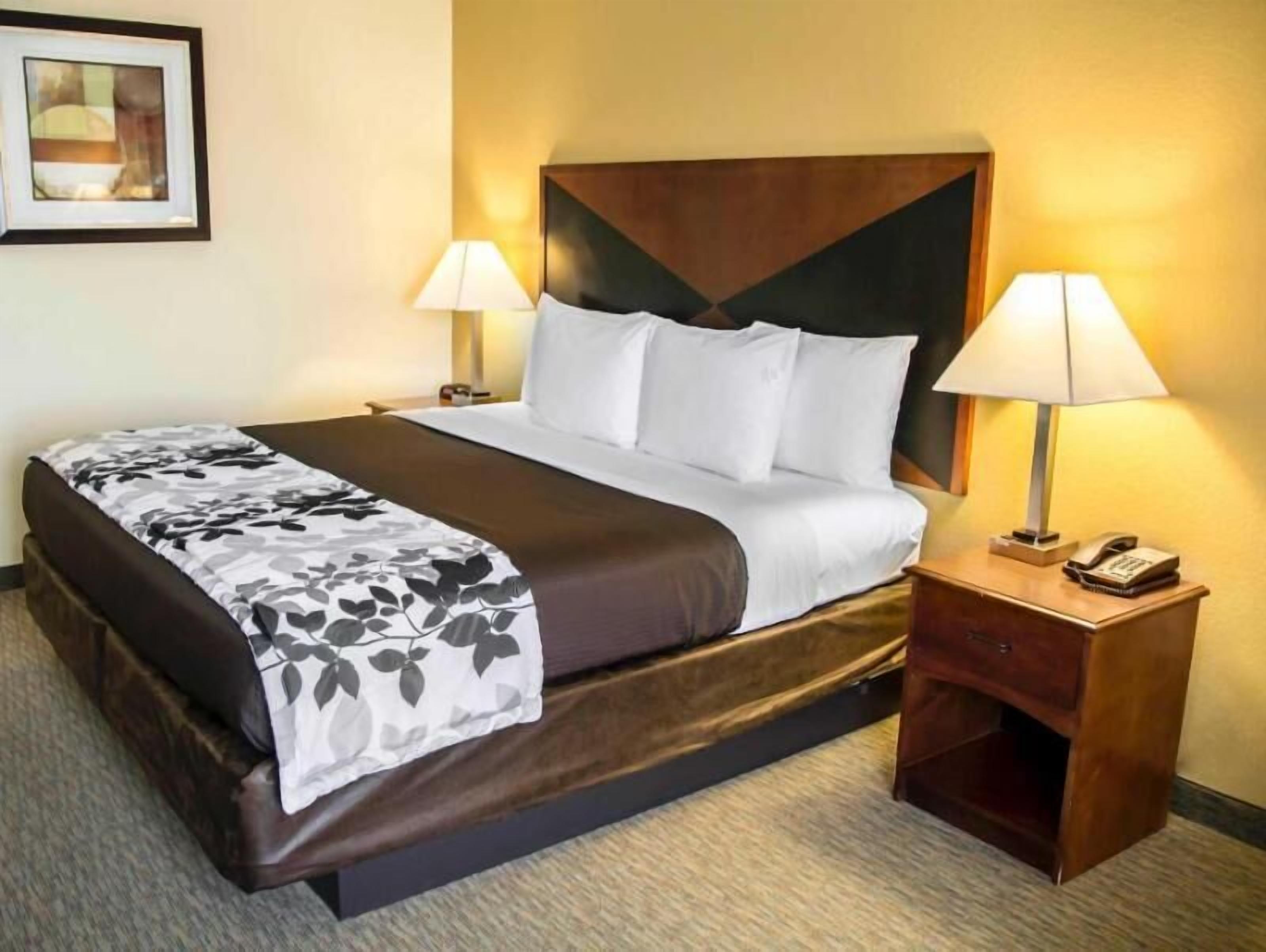 Surmatelas, bureau, fer et planche à repasser, Wi-Fi gratuit