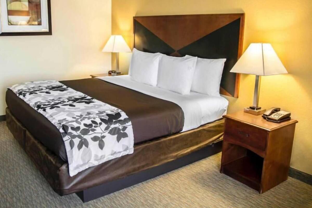A hotel room with a bed, two bedside lamps, a nightstand with a phone, and a framed picture on the wall.