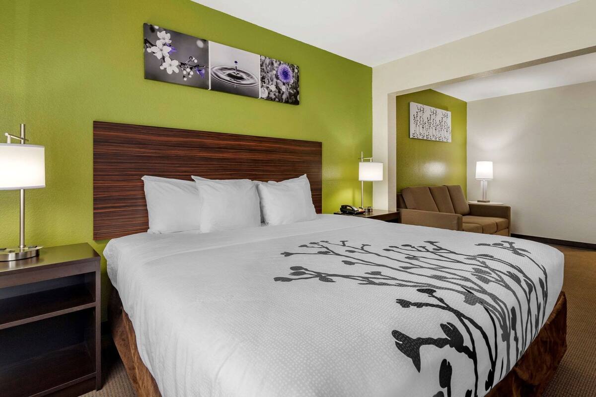 A hotel room with a large bed, a wooden headboard, a green accent wall, a small seating area, and a wall-mounted artwork.