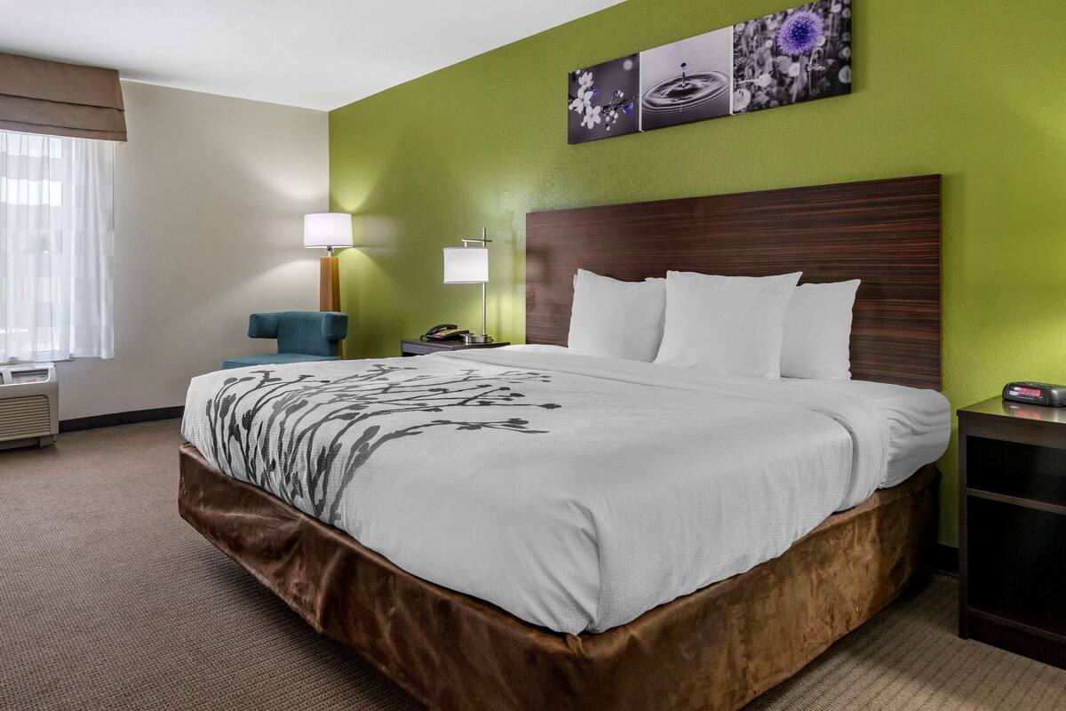 A hotel room with a large bed, green walls, and a nightstand with a lamp.