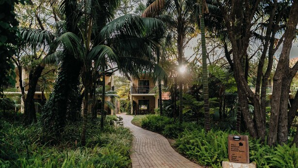 A paved pathway leading to a building surrounded by lush greenery and palm trees. - Club Wyndham Dunsborough, Trademark Collection by Wyndham (Marybrook)