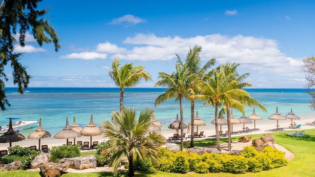 Un resort sulla spiaggia con palme, ombrelloni di paglia e sdraio.