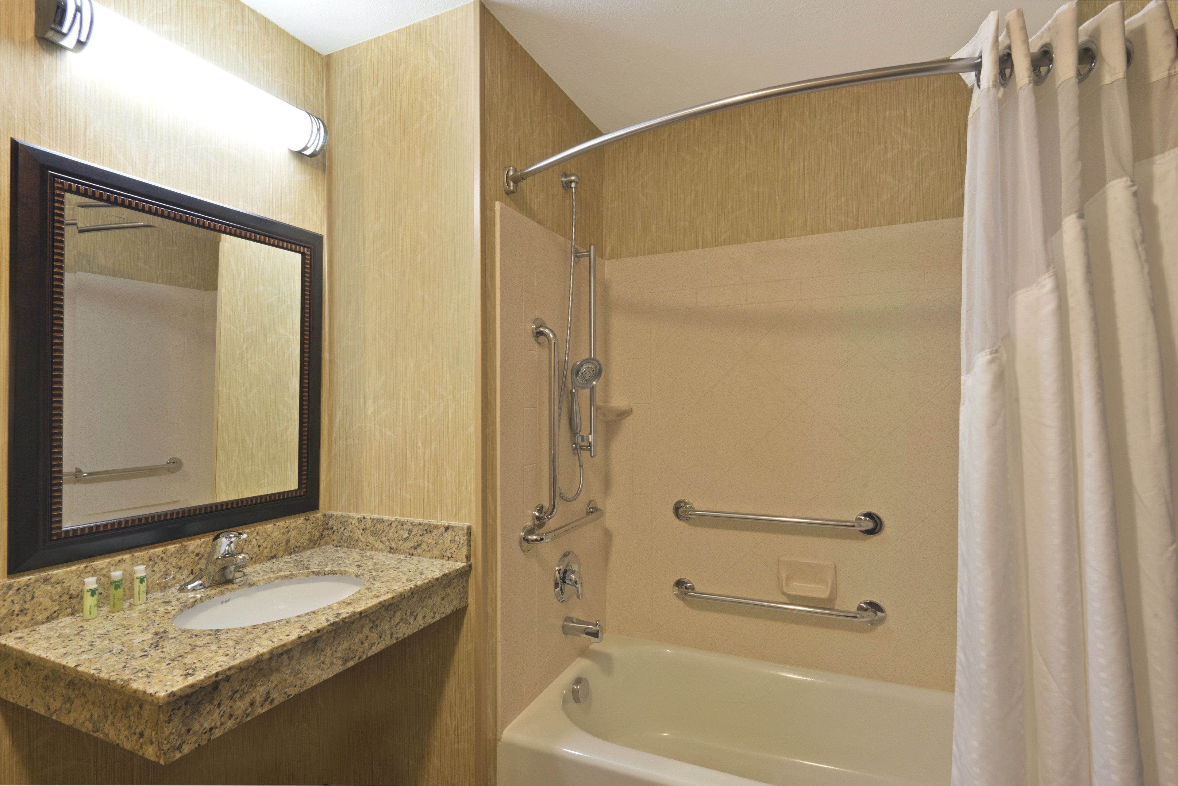 standard room, 1 king bed, accessible (mobility, accessible tub) | bathroom | free toiletries, hair dryer, towels, soap