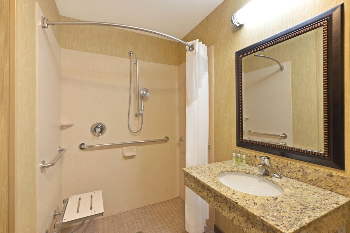 standard room, 1 king bed, accessible (mobility, roll-in shower) | bathroom | free toiletries, hair dryer, towels, soap