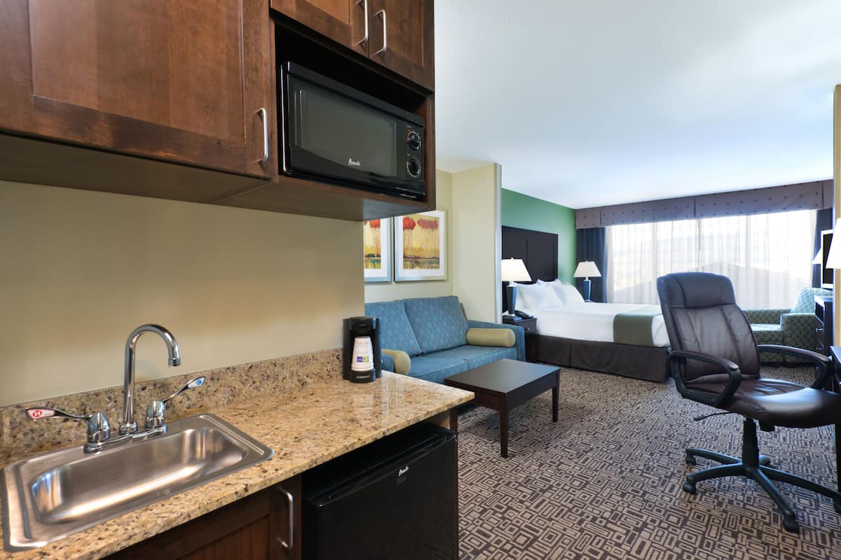 Suite, 1 King Bed with Sofa bed