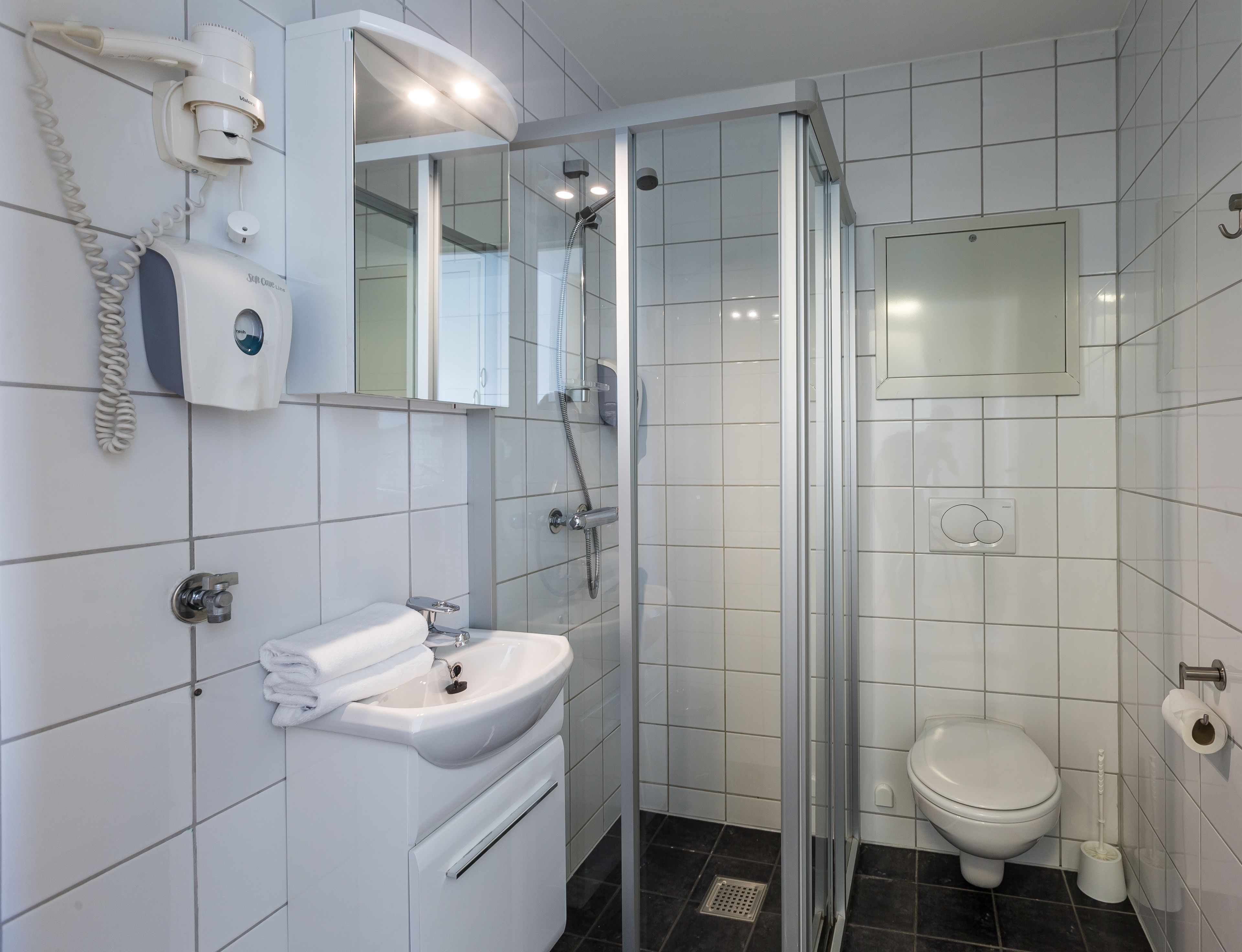A modern bathroom with a glass-enclosed shower, a white sink, and a toilet.