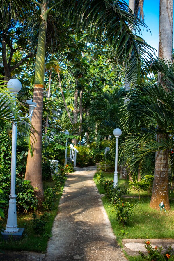 Jardin