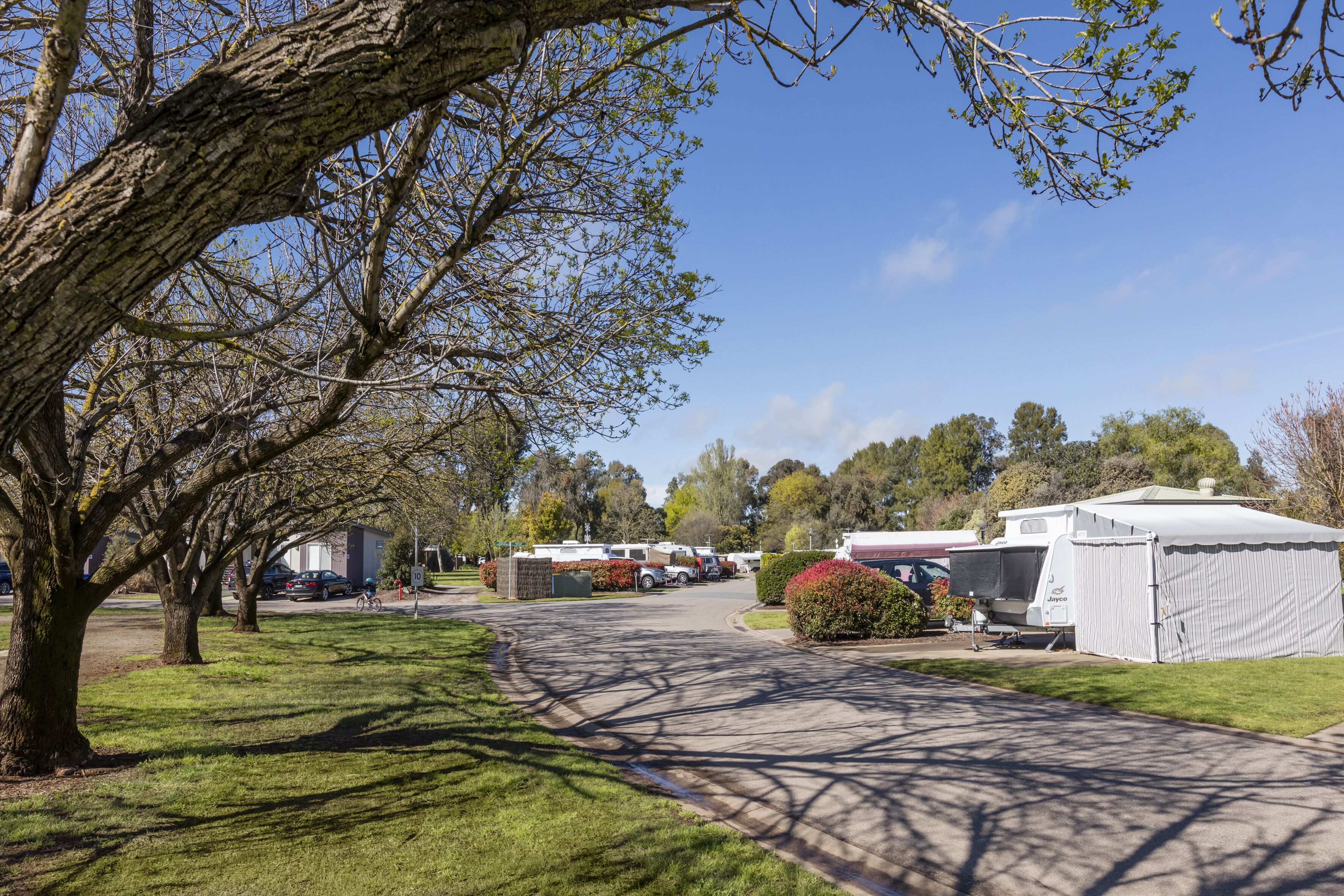 A caravan park with multiple caravans parked along a paved road, surrounded by trees and greenery.