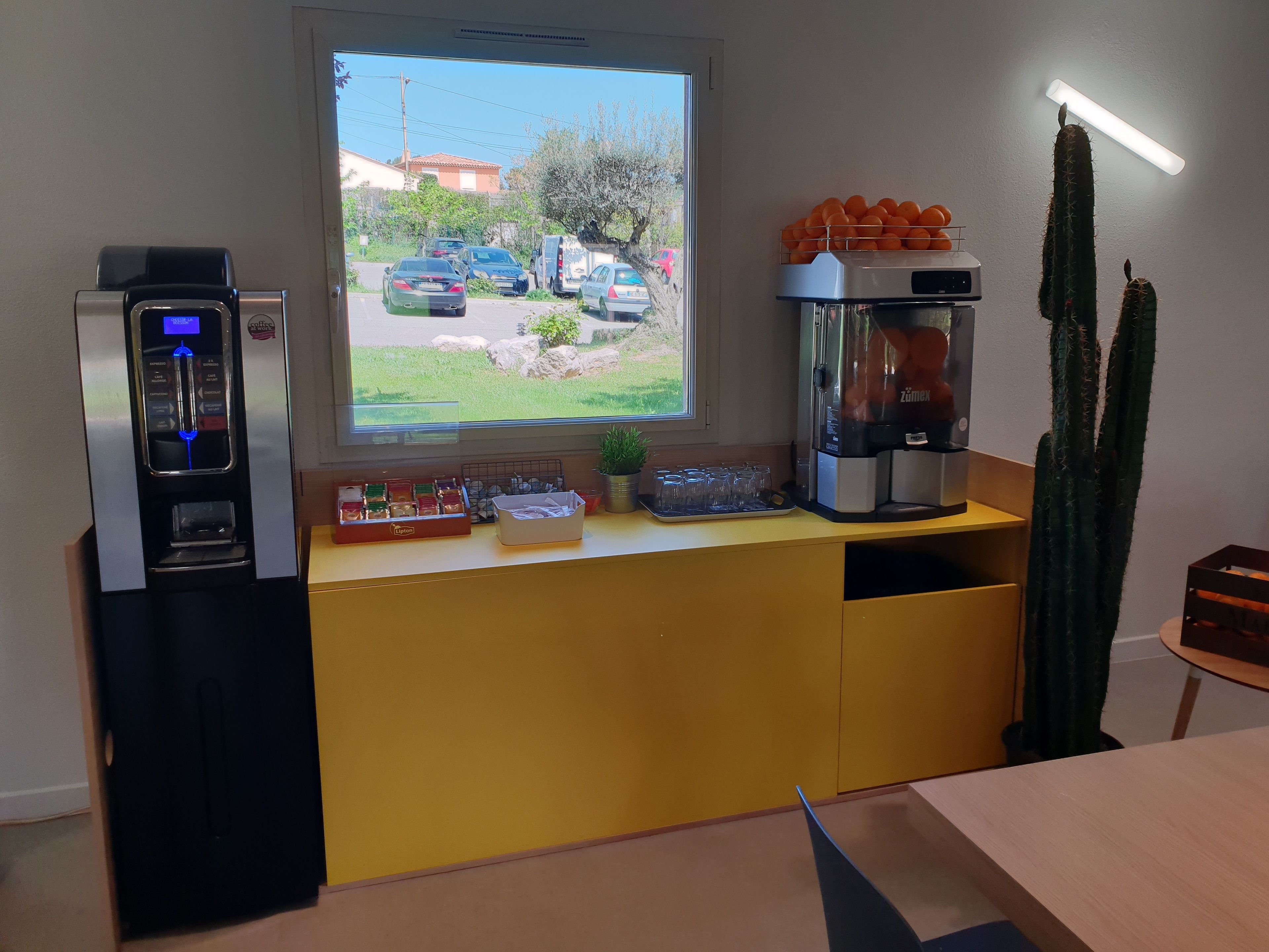 A kitchenette with a coffee machine, a water dispenser, a window with a view of parked cars and greenery, and a cactus plant.