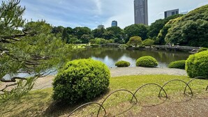 Un parco con uno stagno, siepi curate e un ponte.