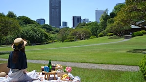 Un parco con un'area picnic, una donna seduta su una panchina e uno skyline cittadino sullo sfondo.