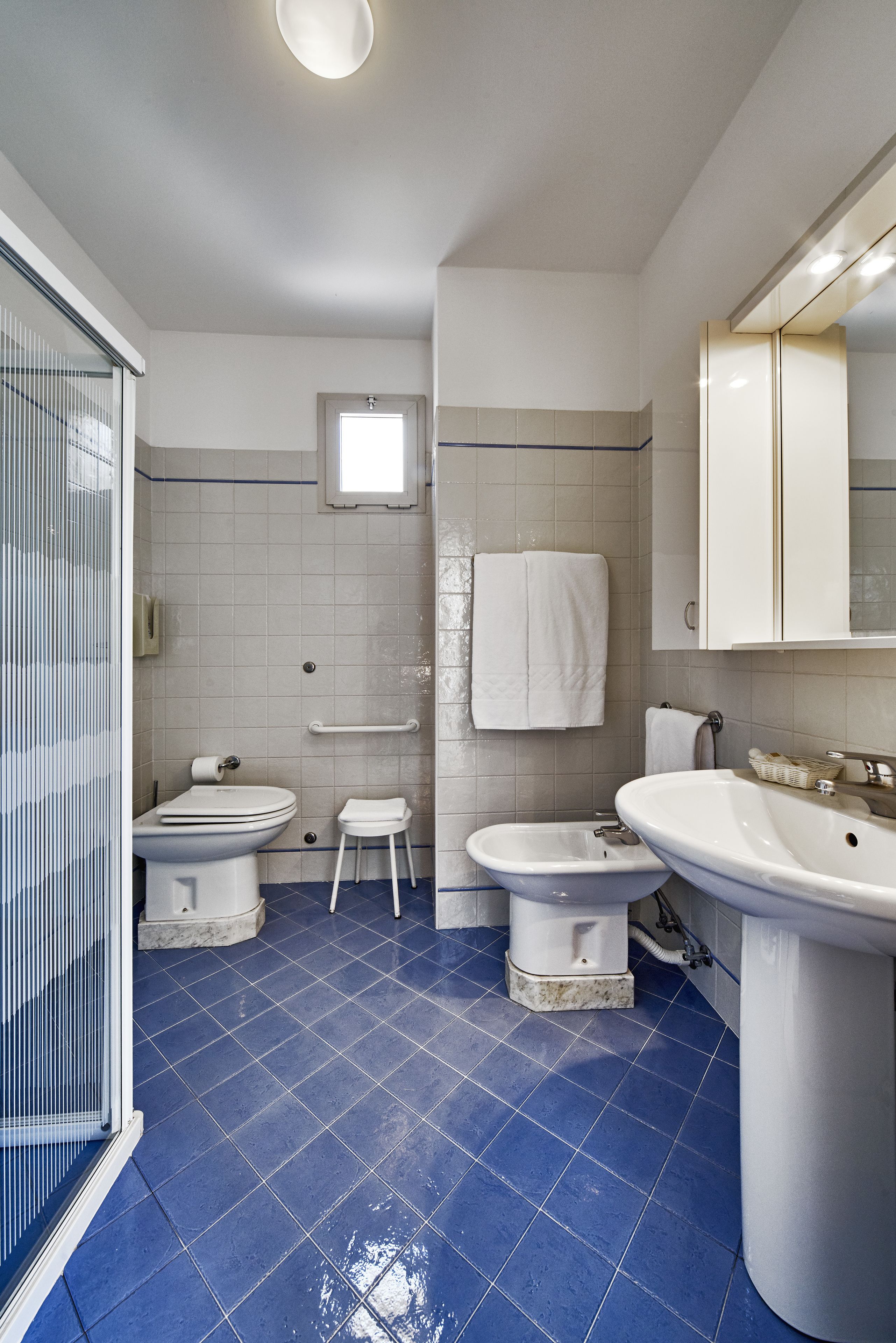 hair dryer, bidet, towels