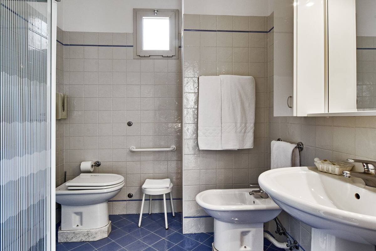 hair dryer, bidet, towels