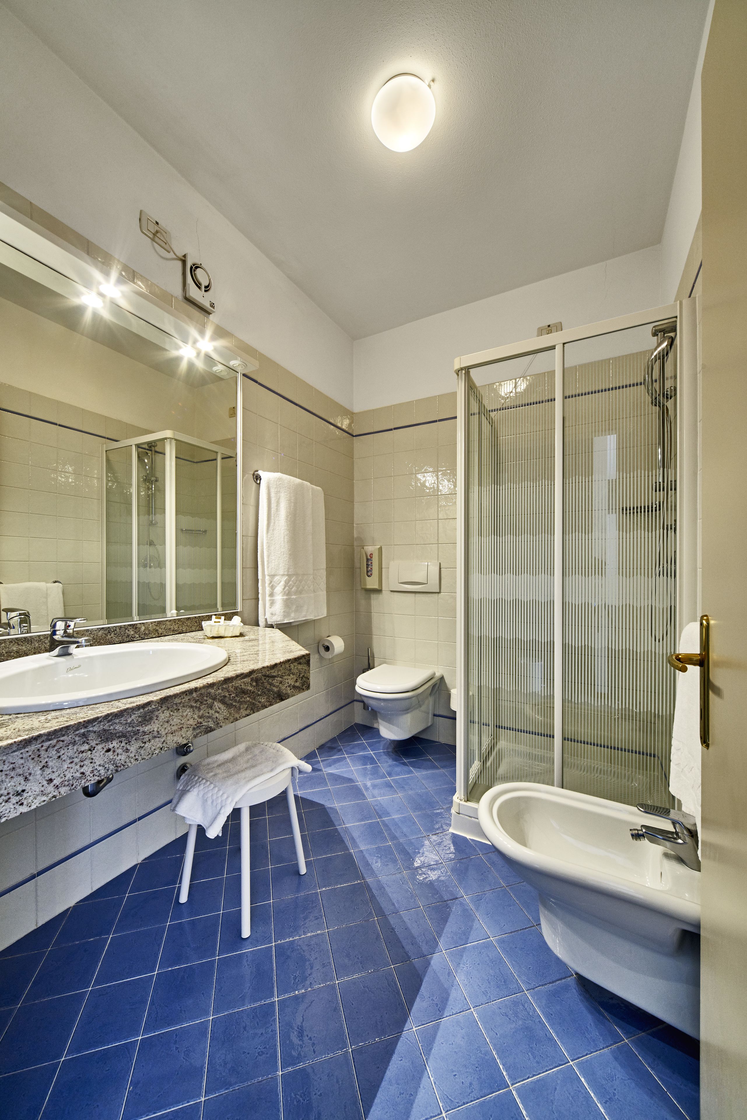 hair dryer, bidet, towels