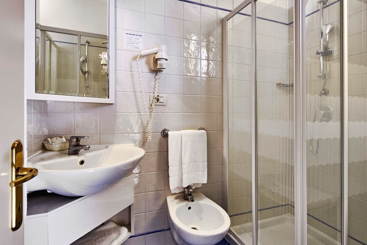 hair dryer, bidet, towels