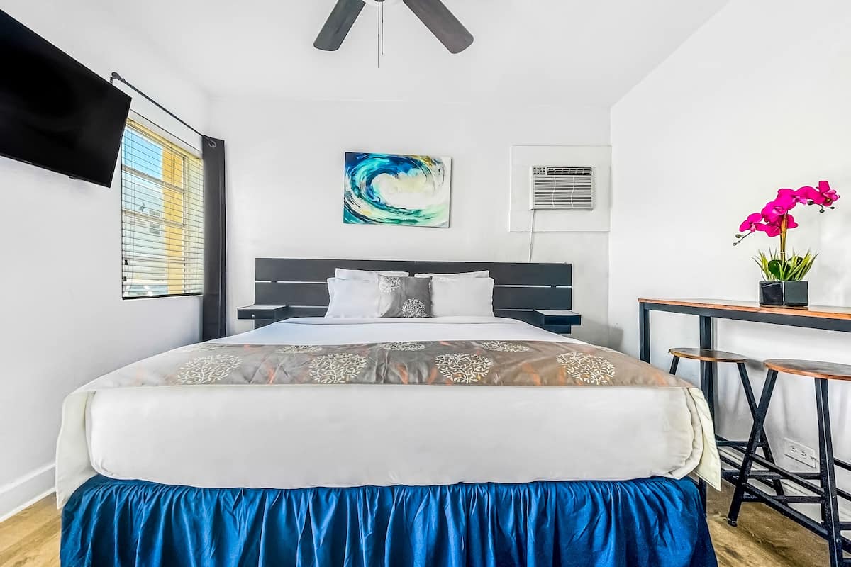 A modern bedroom with a large bed, a ceiling fan, a flat-screen TV, a painting, an air conditioning unit, and a small table with a potted plant.