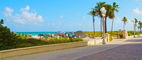 A paved walkway with palm trees and beach umbrellas.
