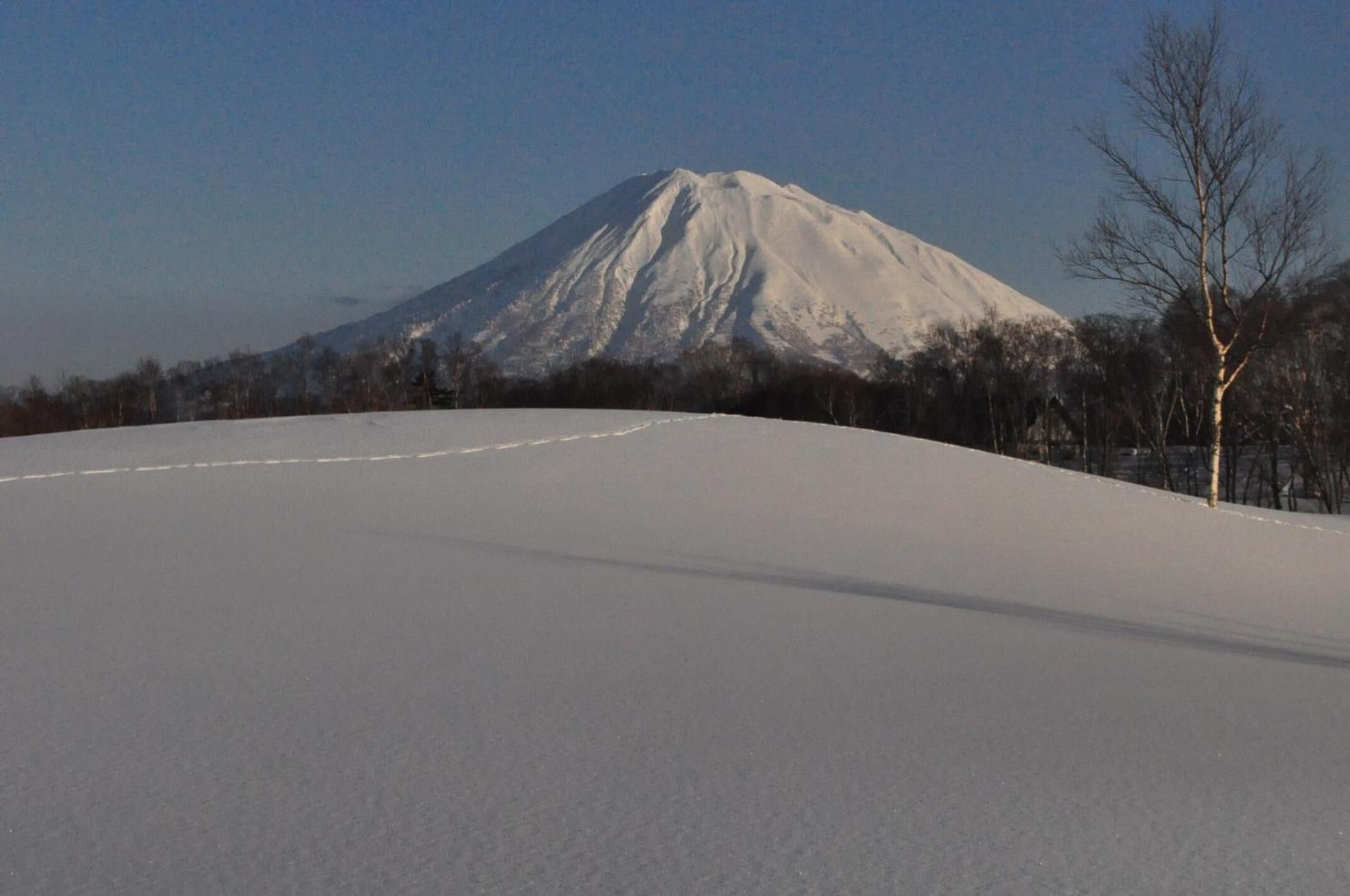 A snow-covered landscape with a mountain in the background.
