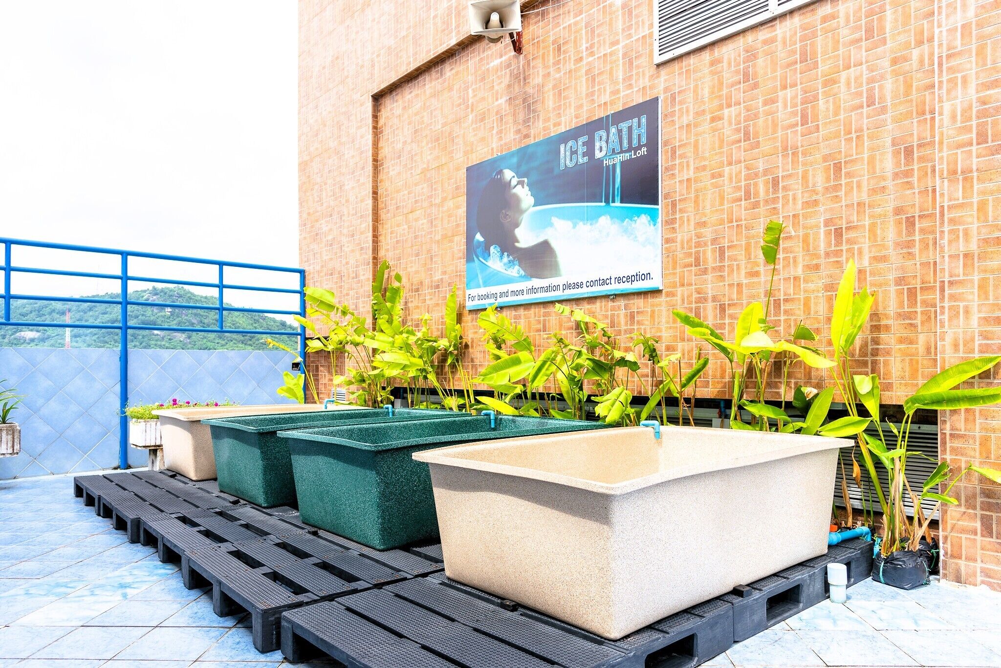 Uma área no terraço com banheiras de imersão em água gelada, um corrimão azul e plantas em vasos.