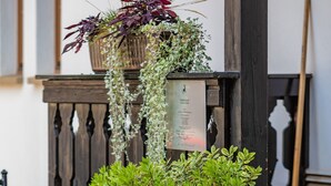 A stone bench with a potted plant and a hanging planter with various plants. - Gasthaus Goldener Hirsch (Suhl)