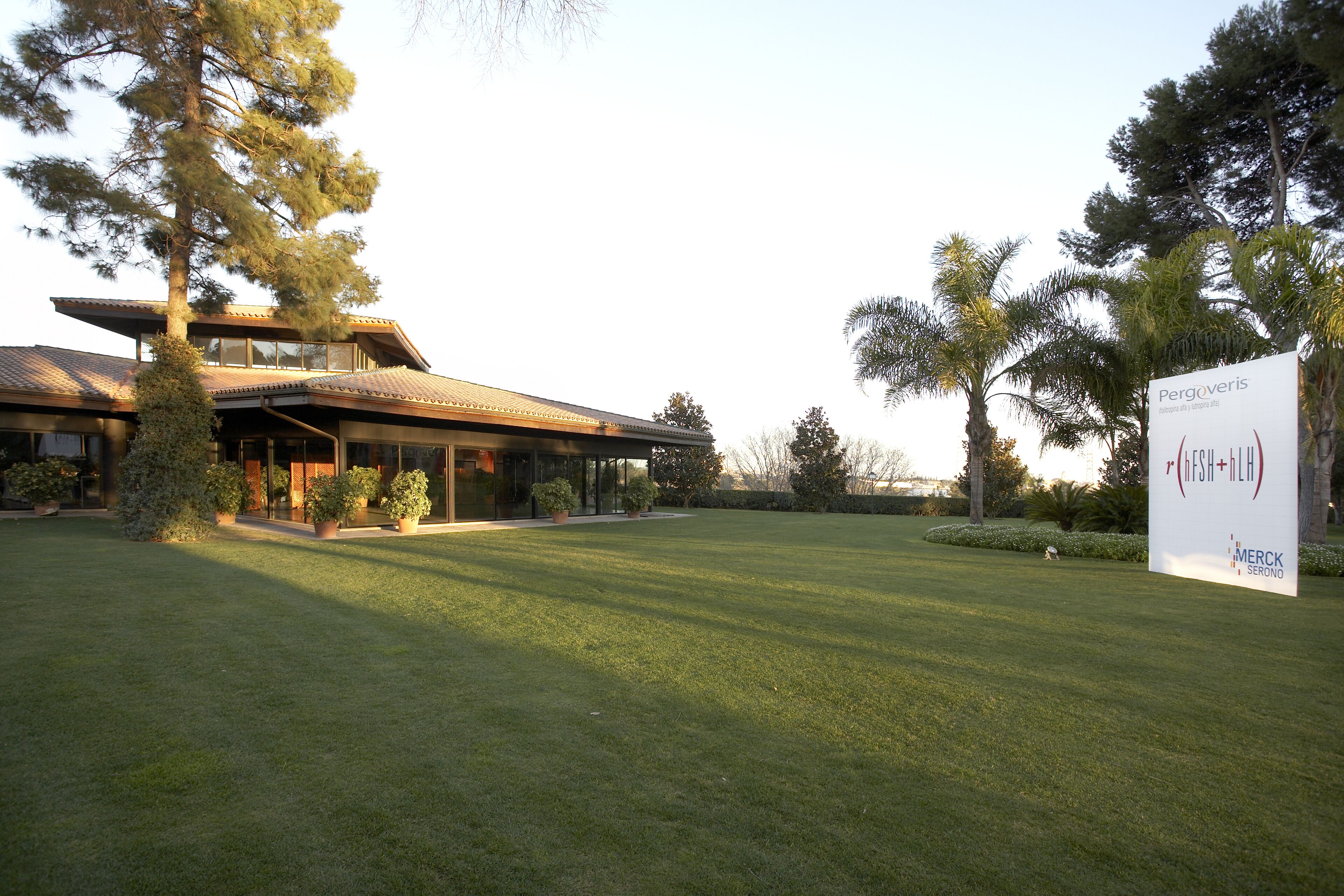 A modern building with a large lawn and potted plants.
