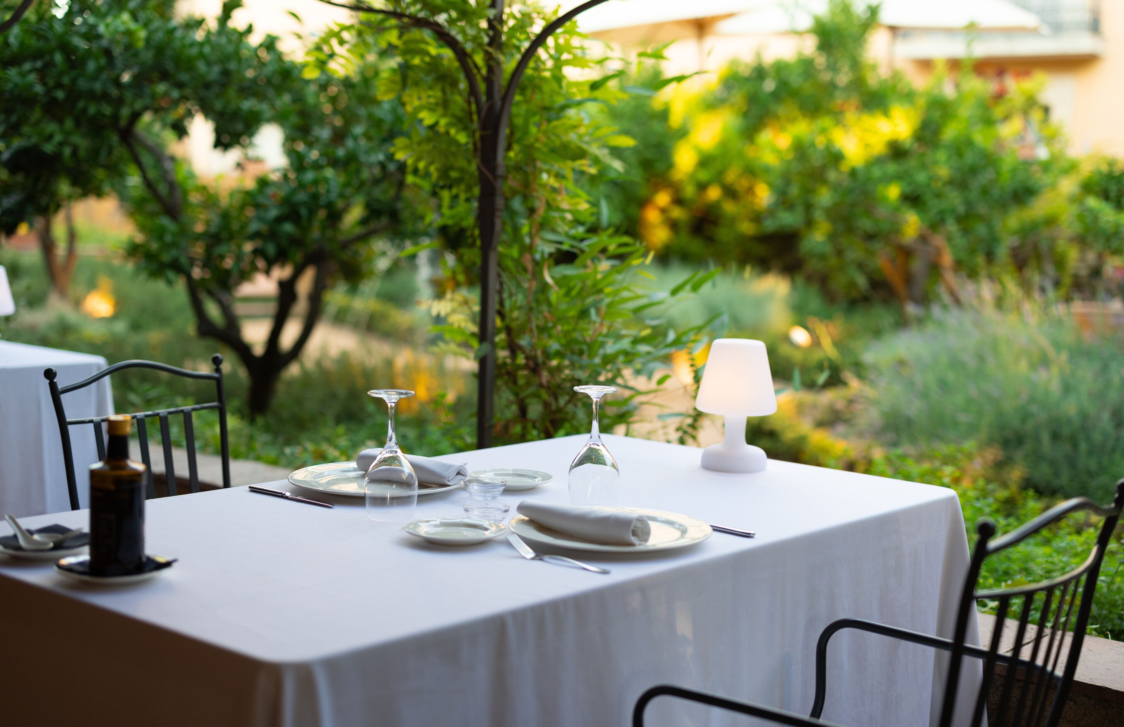 An outdoor dining table set with plates, glasses, and cutlery, surrounded by greenery.
