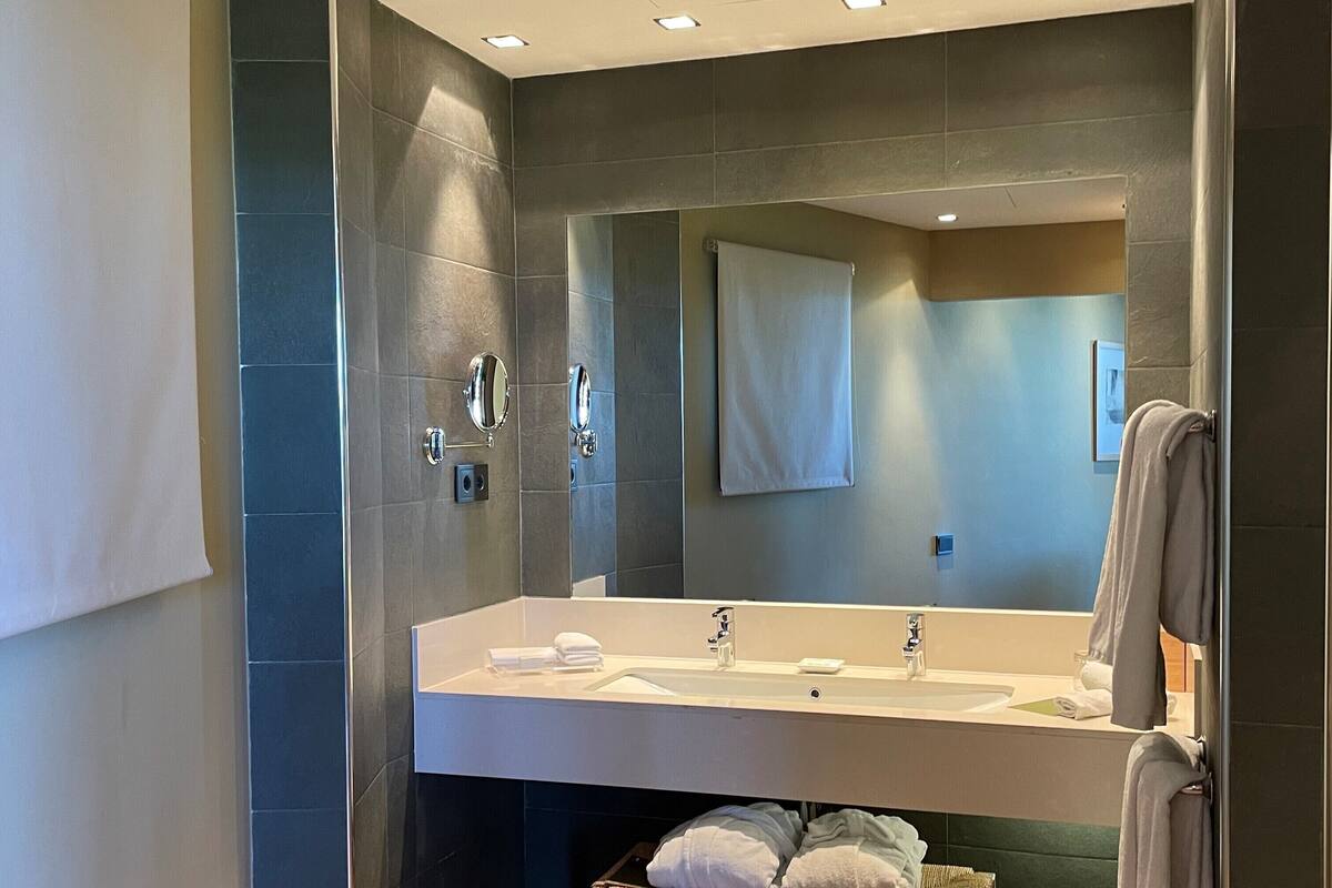 suite plus | bathroom | shower, rainfall showerhead, designer toiletries, hair dryer