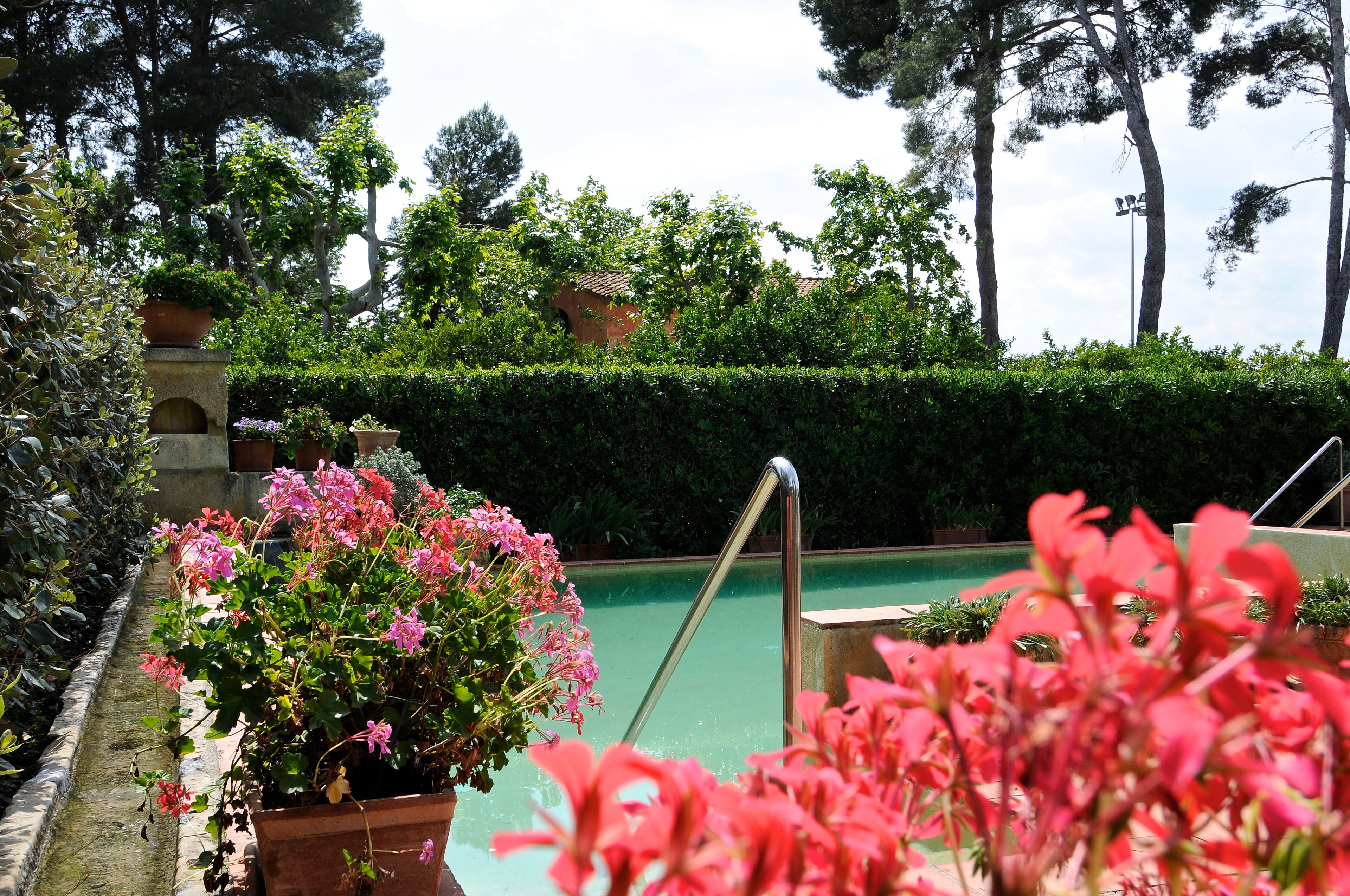 A pool area with a clear view of the surrounding garden, including a variety of plants and a hedge.