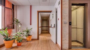 Un pasillo con suelo de madera, plantas en macetas y un ascensor.